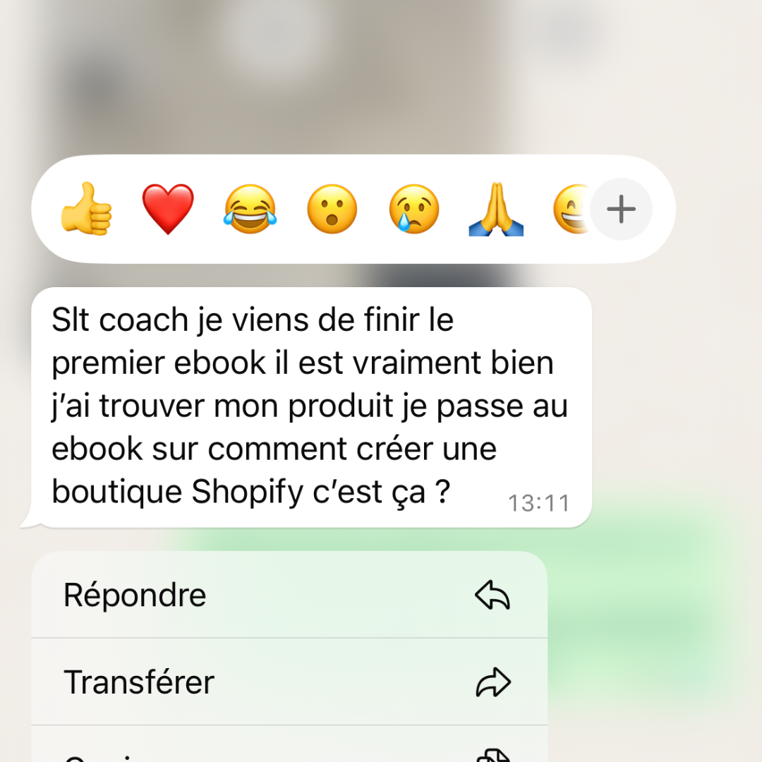 Pack – 3 eBooks pour lancer un business qui vend