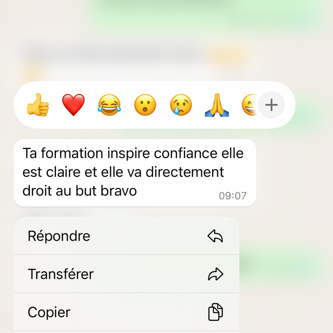 Pack – 3 eBooks pour lancer un business qui vend